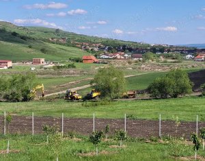 Land for sale in Chinteni
