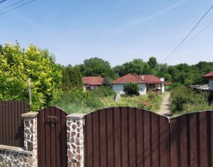 Maison 4 chambres à vendre dans Moldovenesti, zone Centru