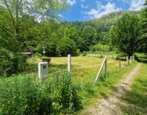 Telek eladó on Rasca