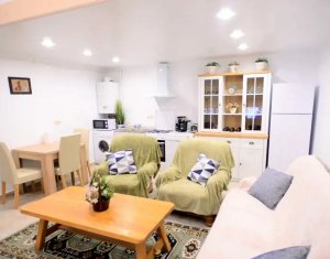 Inchiriere apartament 2 camere ultracentral, zona Sora