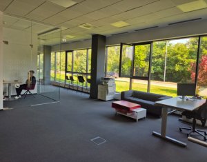 Bureau à louer dans Cluj-napoca, zone Gruia