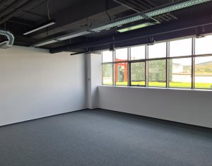 Bureau à louer dans Cluj-napoca, zone Gruia