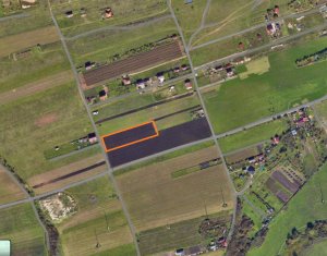 Land for sale in Floresti