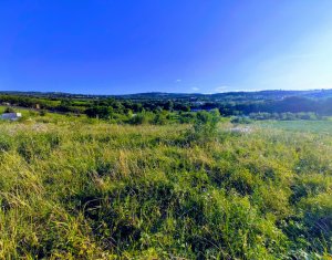 Terrain à vendre dans Cluj-napoca, zone Borhanci