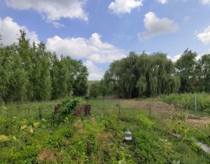 Casă cu teren generos de 3000 mp, Apahida