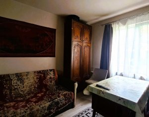 Appartement 1 chambres à louer dans Cluj-napoca, zone Dambul Rotund