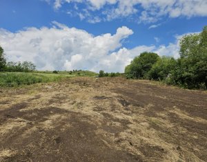 Terrain à vendre dans Rediu