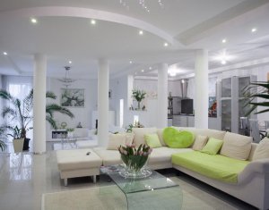 Espace Commercial à vendre dans Cluj-napoca, zone Andrei Muresanu