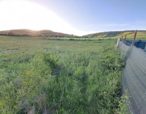 Land for rent in Floresti