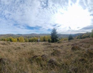 Terrain à vendre dans Muntele Baisorii