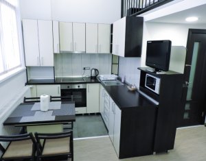 Appartement 1 chambres à louer dans Cluj-napoca, zone Manastur
