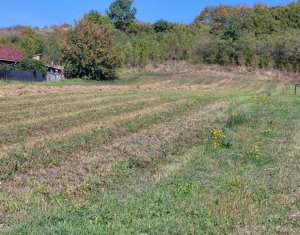Teren de vanzare – Popesti Vale, 3600 mp