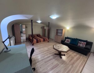 Appartement 1 chambres à louer dans Cluj-napoca, zone Centru