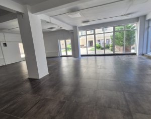 Spatiu comercial 155mp str Borhanciului 400m de la intrare, 3 parcari 