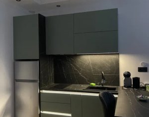 Appartement 2 chambres à louer dans Cluj-napoca, zone Intre Lacuri