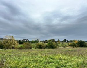 Terrain à vendre dans Cluj-napoca, zone Sopor