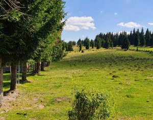 Land for sale in Belis