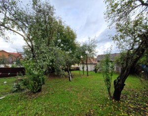 Teren si casa ideala pentru dezvoltare imobiliara, zona RrM3