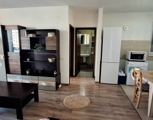 Appartement 2 chambres à louer dans Cluj-napoca, zone Buna Ziua