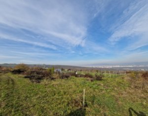 Land for sale in Cluj-napoca, zone Sopor