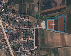 Teren 26.000mp, halta Rascruci drum european E576, jud. Cluj