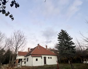 Bureau à louer dans Cluj-napoca, zone Centru