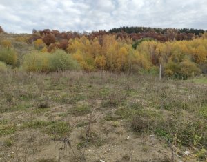 Teren intravilan cu autorizație de construire – Sălicea