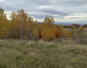 Teren intravilan – Salicea, 971 mp