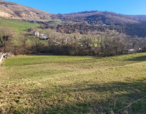 Terrain à vendre dans Tauti