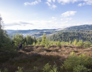 Land for sale in Belis