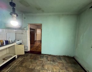 Maison 4 chambres à vendre dans Cluj-napoca, zone Intre Lacuri