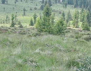 Terrain à vendre dans Belis