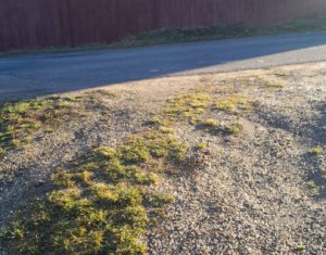 NOU. Se vinde teren pentru casa/cabana intr-o zona cu aer curat.