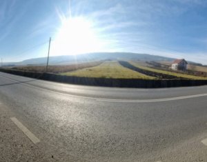 Teren intravilan in Mera cu acces la D.N.1F 