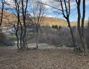 Land for sale in Feleacu