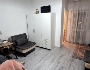 Apartment 1 rooms for rent in Cluj-napoca, zone Centru