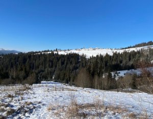 Land for sale in Cluj-napoca