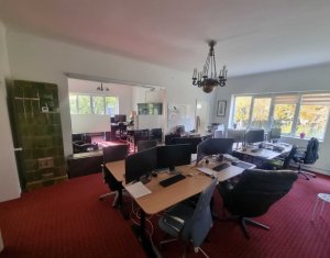 Office for rent in Cluj-napoca, zone Andrei Muresanu
