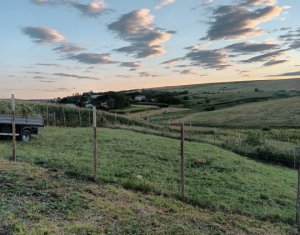 Terrain à vendre dans Cluj-napoca