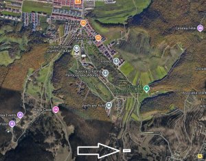 Land for sale in Floresti