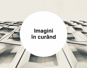 Spatiu comercial - Manastur