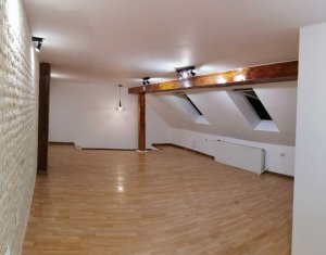Appartement 1 chambres à louer dans Cluj-napoca, zone Centru