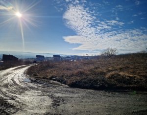 Terrain à vendre dans Cluj-napoca, zone Iris