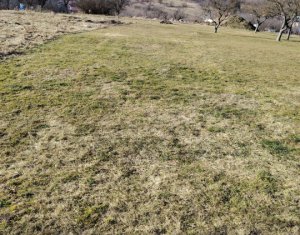 Ocazie/ Teren de vanzare in FELEAC