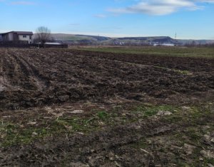 Terrain à vendre dans Jucu