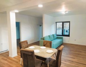 Apartment 2 rooms for rent in Dezmir