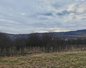 Land for sale in Macicasu