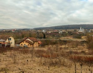 Land for sale in Chinteni