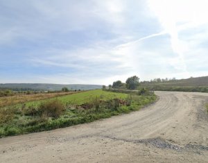 Land for sale in Cluj-napoca, zone Sopor