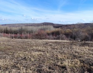 Teren cu potential turistic in RAMET/ALBA